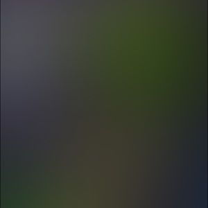 Meet your Posher, Brady